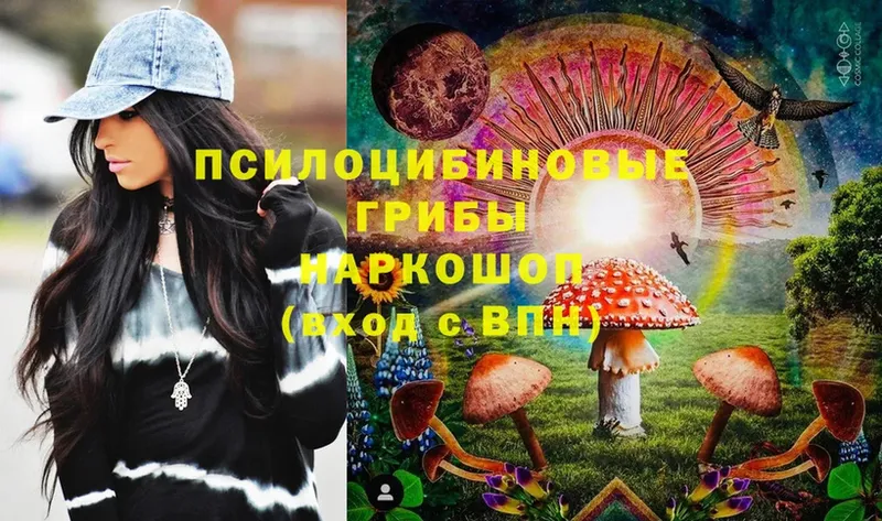 дарнет шоп  Кировград  Галлюциногенные грибы Psilocybine cubensis 